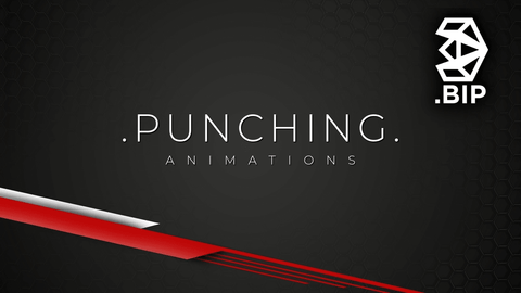 [BIP] PUNCH - 3D Character Animations - MoCap Online